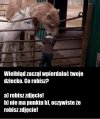 Co byś zrobił 