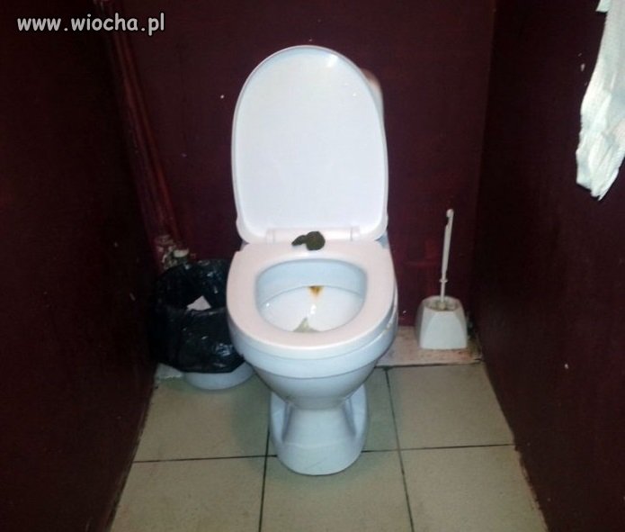 Tylko BYDLE nie trafi do kibla...