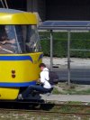 Pasażer na gapę