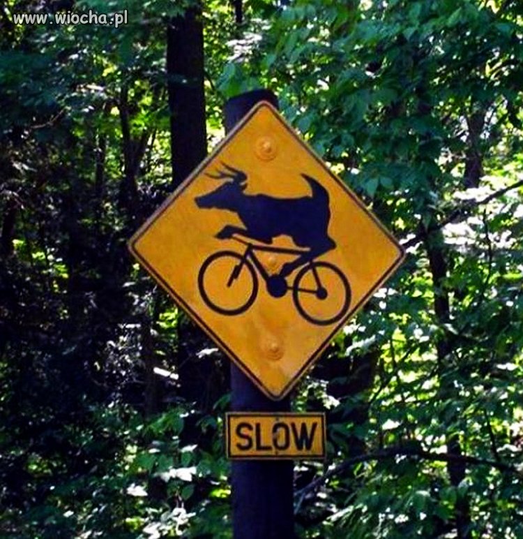10 km/h mniej
