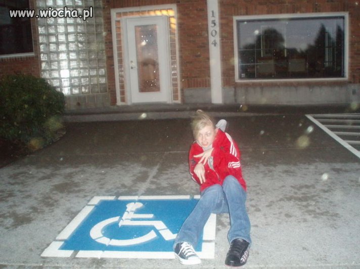 Pustak na parkingu