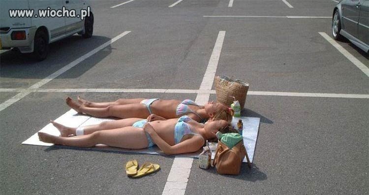Dzika plaża