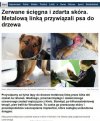 Zero litości dla takich zwyrodnialców