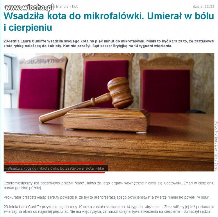 Bo zaatakował złotą rybkę...