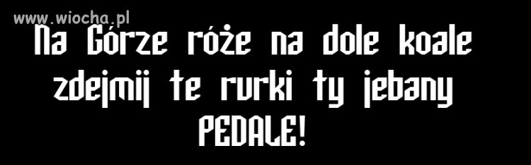 Największa polska mądrość