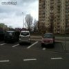 Mistrzowie parkowania.