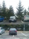 Dwóch mistrzów parkowania KROSNO koło ZUS 