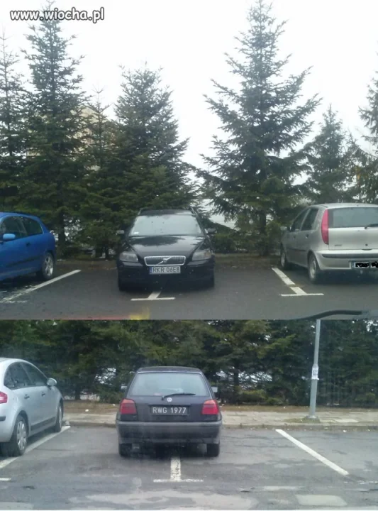 Dwóch mistrzów parkowania KROSNO koło ZUS 