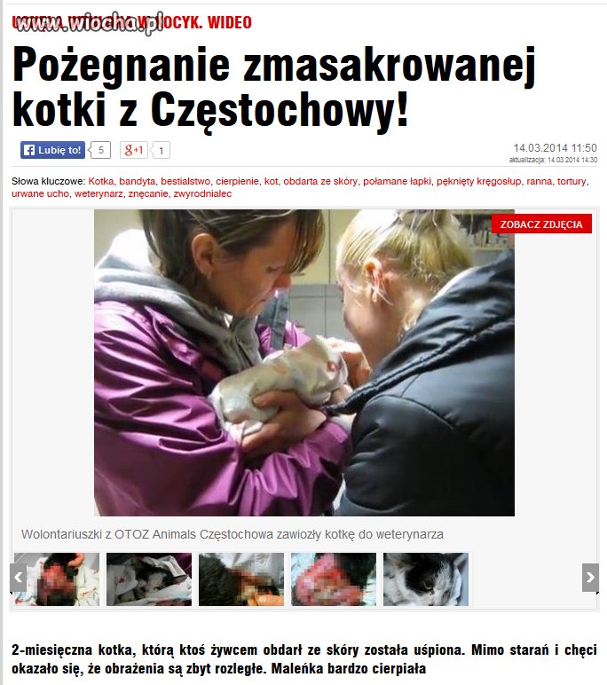 Kary za takie czyny są stanowczo za małe