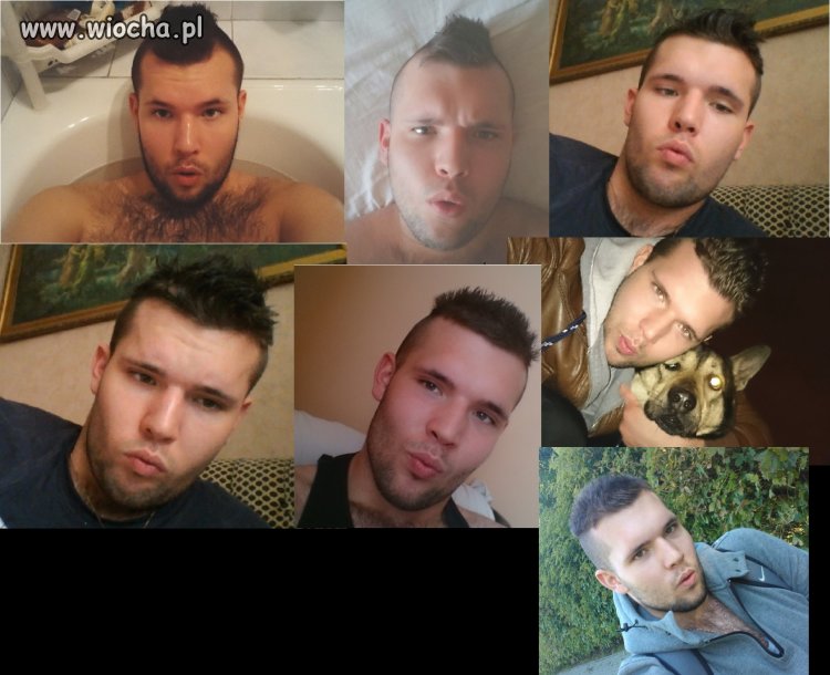 Pan Dzióbek 