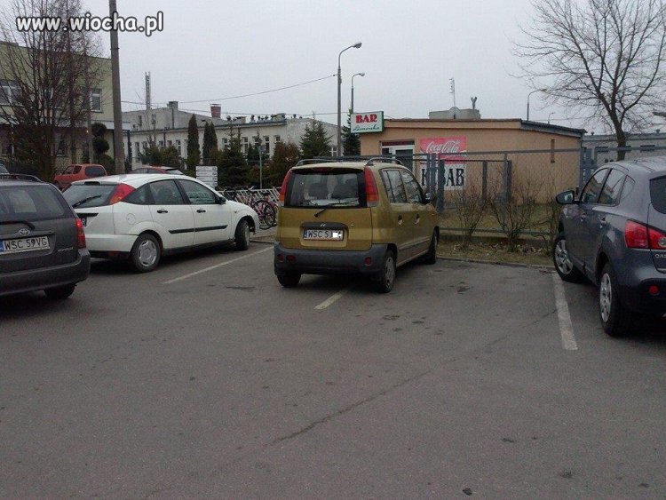 MISTRZ PARKOWANIA 