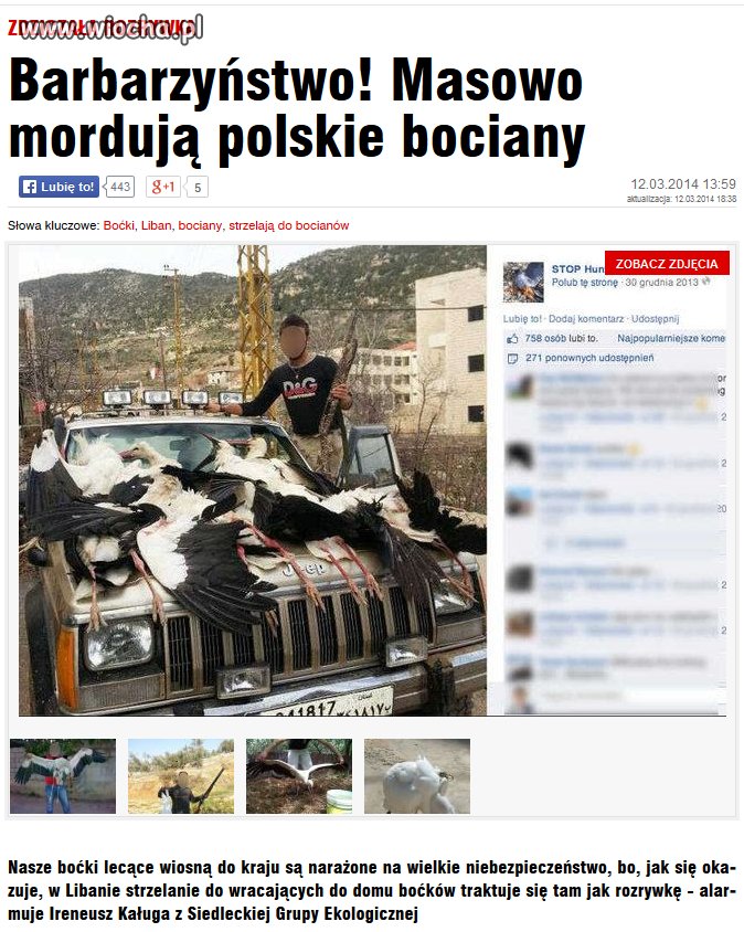Libańczycy niszczą nasze dobro narodowe