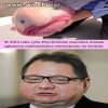 Ależ podobizna