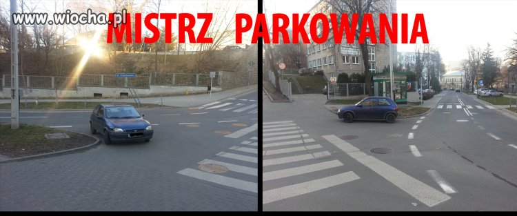 Mistrz parkowania