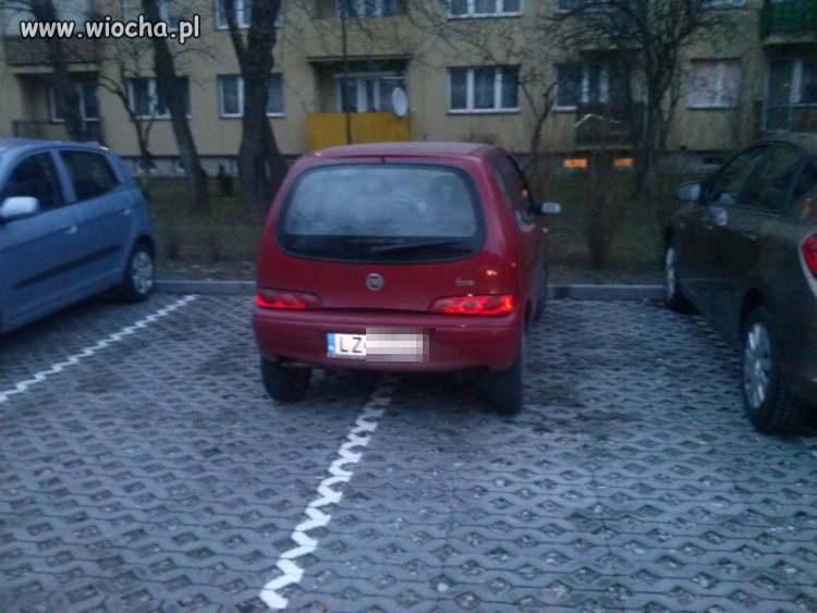 Mistrzyni parkowania Zamość