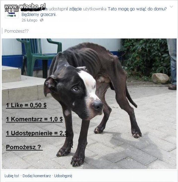 Czy takie apele na FB to nie czysta wiocha? 