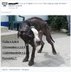 Czy takie apele na FB to nie czysta wiocha? 