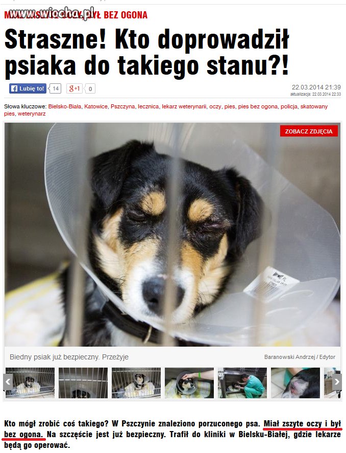 Takim zwyrolom należy zrobić dokładnie to samo