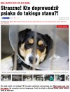 Takim zwyrolom należy zrobić dokładnie to samo