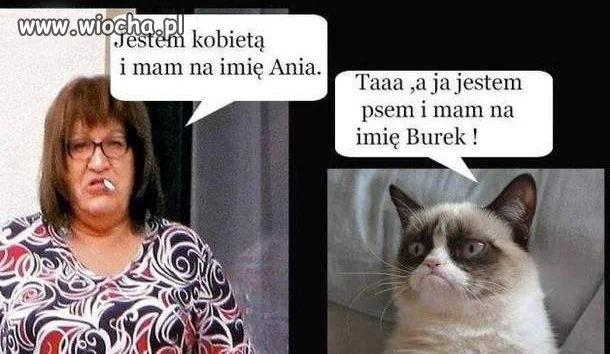 Jestem kobietą...