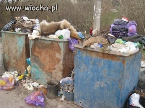 Jak można wywalać martwe zwierzę do kosza???!