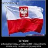 Dzisiaj to chyba będziemy ostrzyć ołówki
