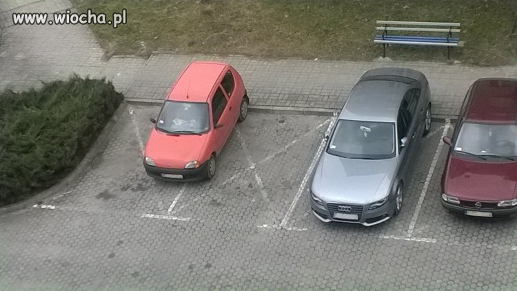 Mistrz parkowania