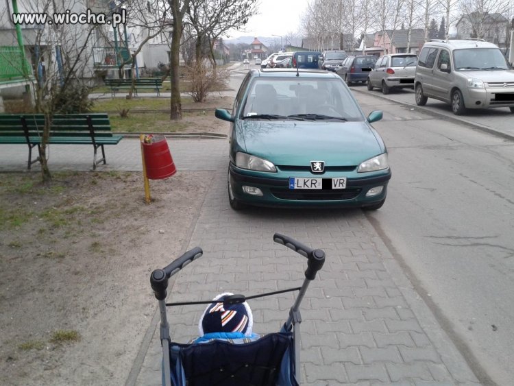 Mistrz parkowania 