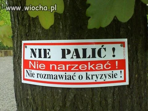 Zakazy