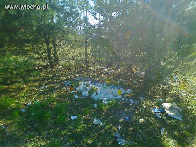 Wiocha dla rodzinki z Morawicy, 100m od zalewu