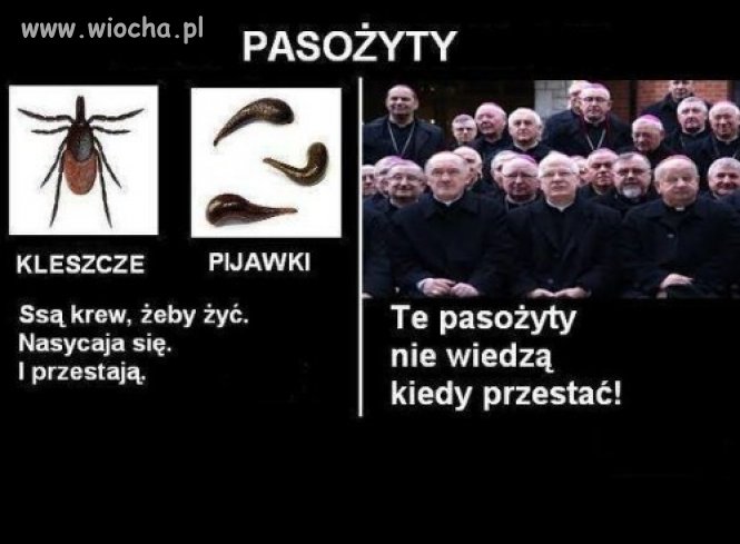 Wszystko o pasożytach