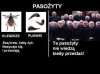Wszystko o pasożytach