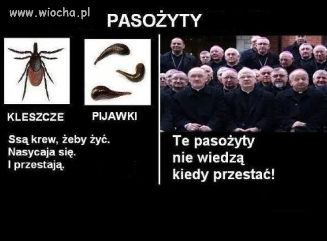 Wszystko o pasożytach