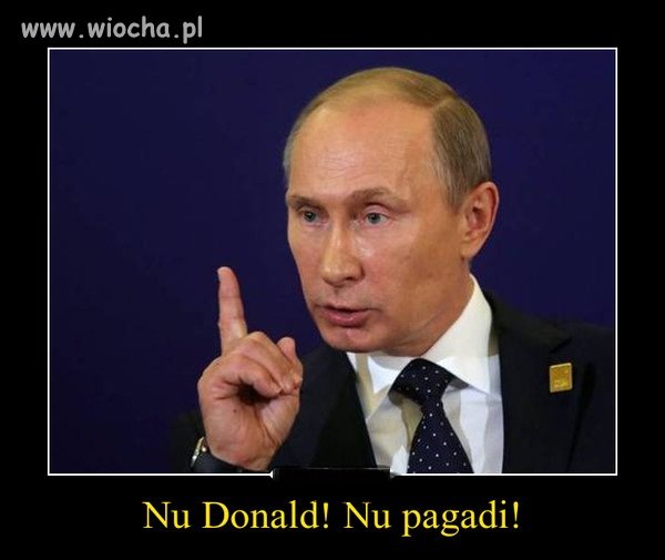 Nie w kur... mnie Donek 