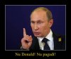 Nie w kur... mnie Donek 