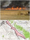 Dziś, 12.03.2014, przez piromana poszło z dymem