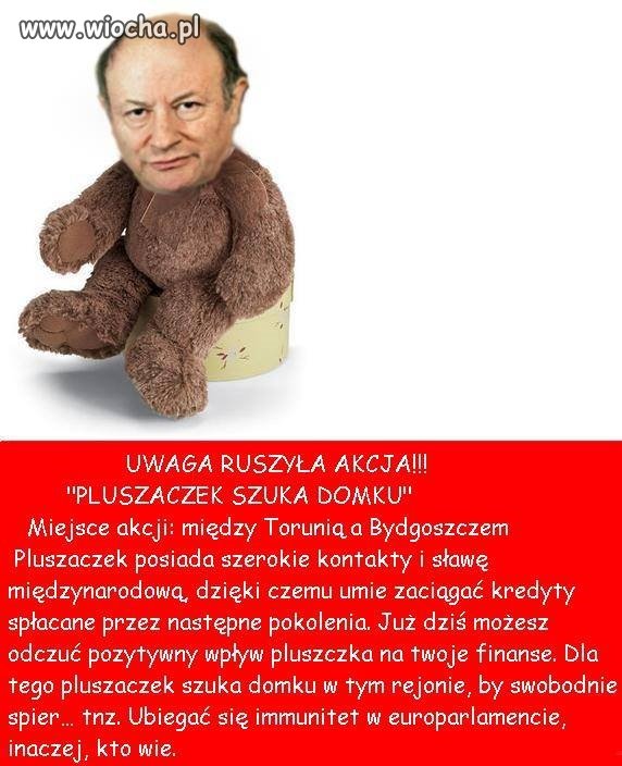 Pluszaczek szuka domku