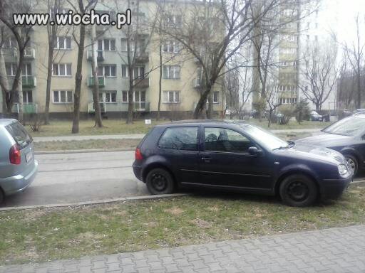 Tak zaparkuje po mistrzowsku