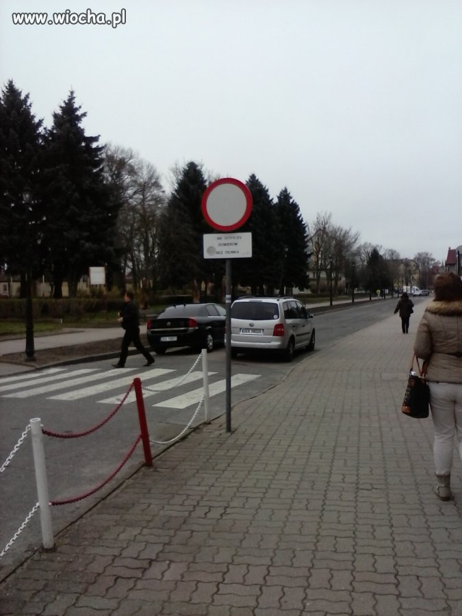 Mistrzowie parkowania