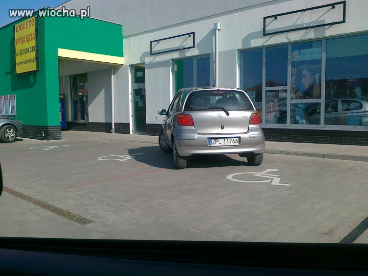 "kaleka umysłowa" pod jednym ze sklepów-Szczecin