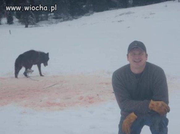 Wiocha to robić sobie takie fotki