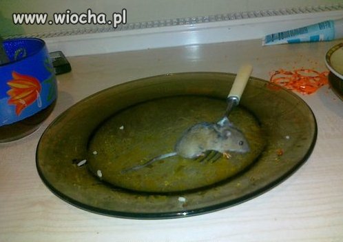 Gdy w lodówce