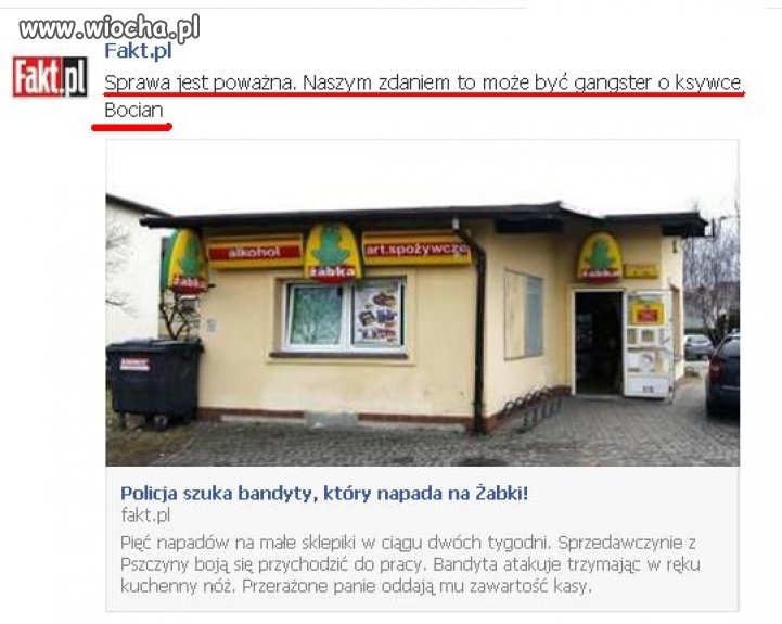 Bocian napada na żabki!!!