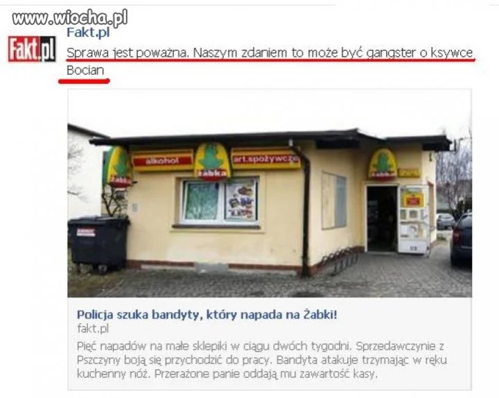 Bocian napada na żabki!!!