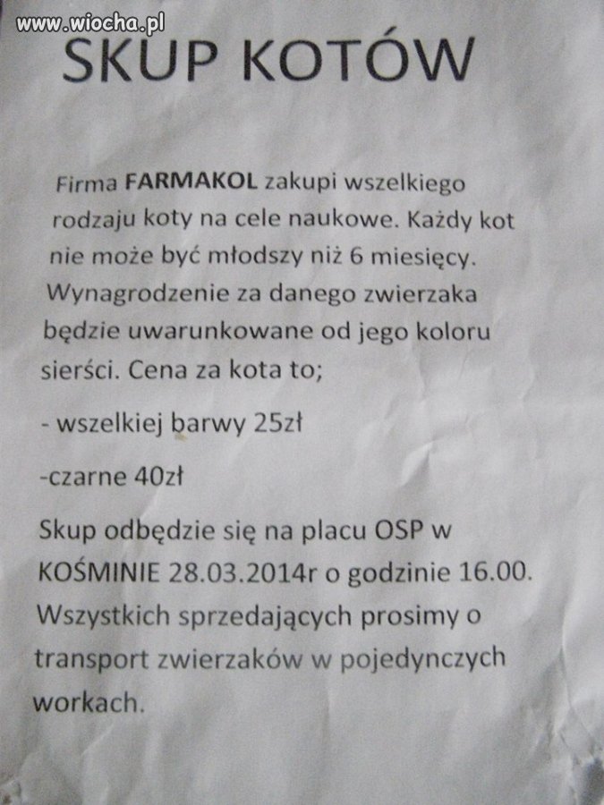 Miejmy nadzieję, że to tylko głupi żart