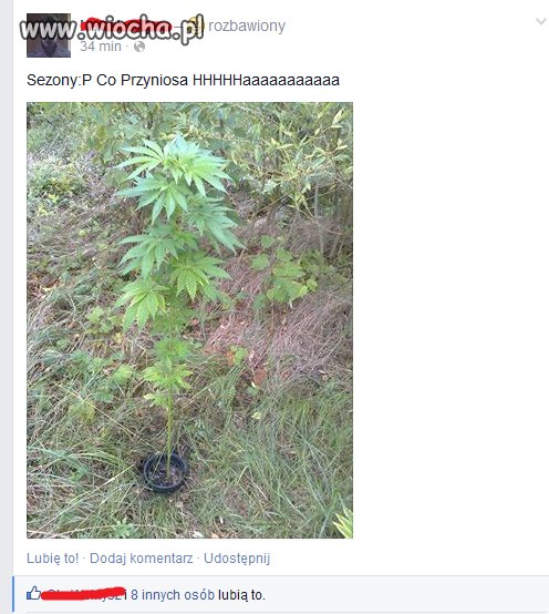 Lans na fejsbusiu 
