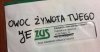 JeZUSie