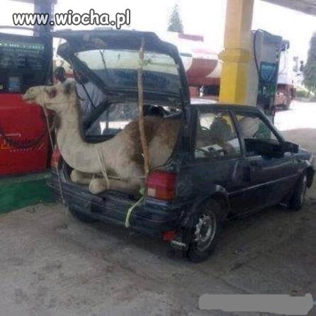 A kto powiedział ?