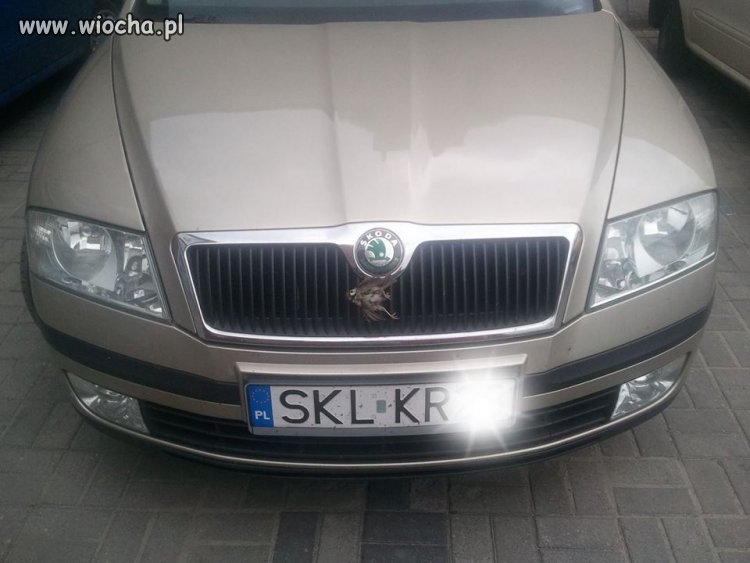 Chciał wyglądać jak logo skody