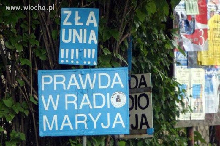 Czai się w krzakach błękitny plakat ...
